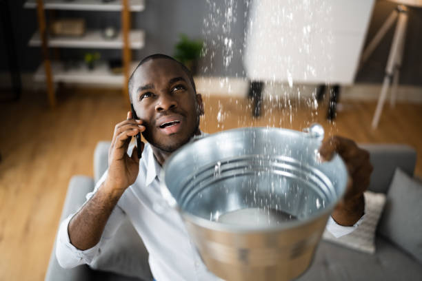 Best Water damage restoration specialists  in Lewes, DE