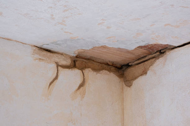 Best Mold removal after water damage  in Lewes, DE