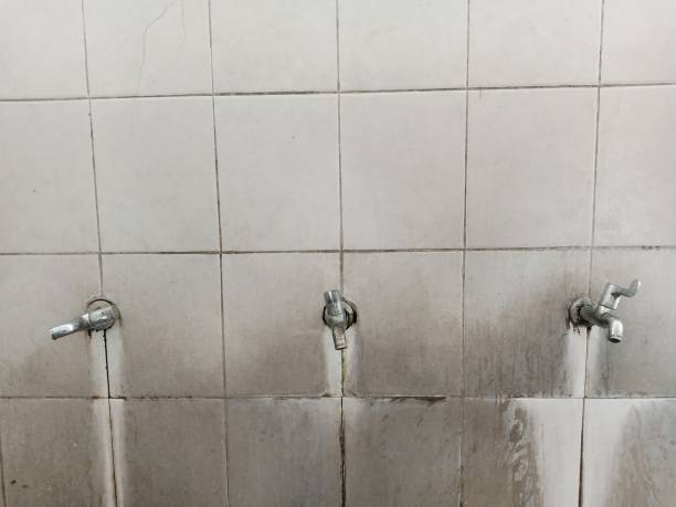 Best Carpet water damage restoration  in Lewes, DE