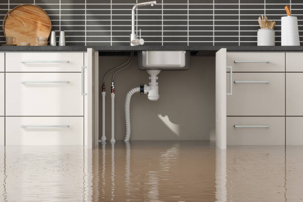 Lewes, DE Water damage restoration Company