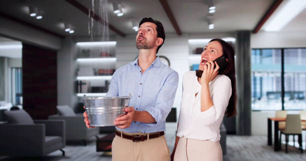 Best Carpet water damage restoration  in Lewes, DE