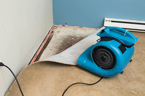 Best Fire Damage Restoration  in Lewes, DE